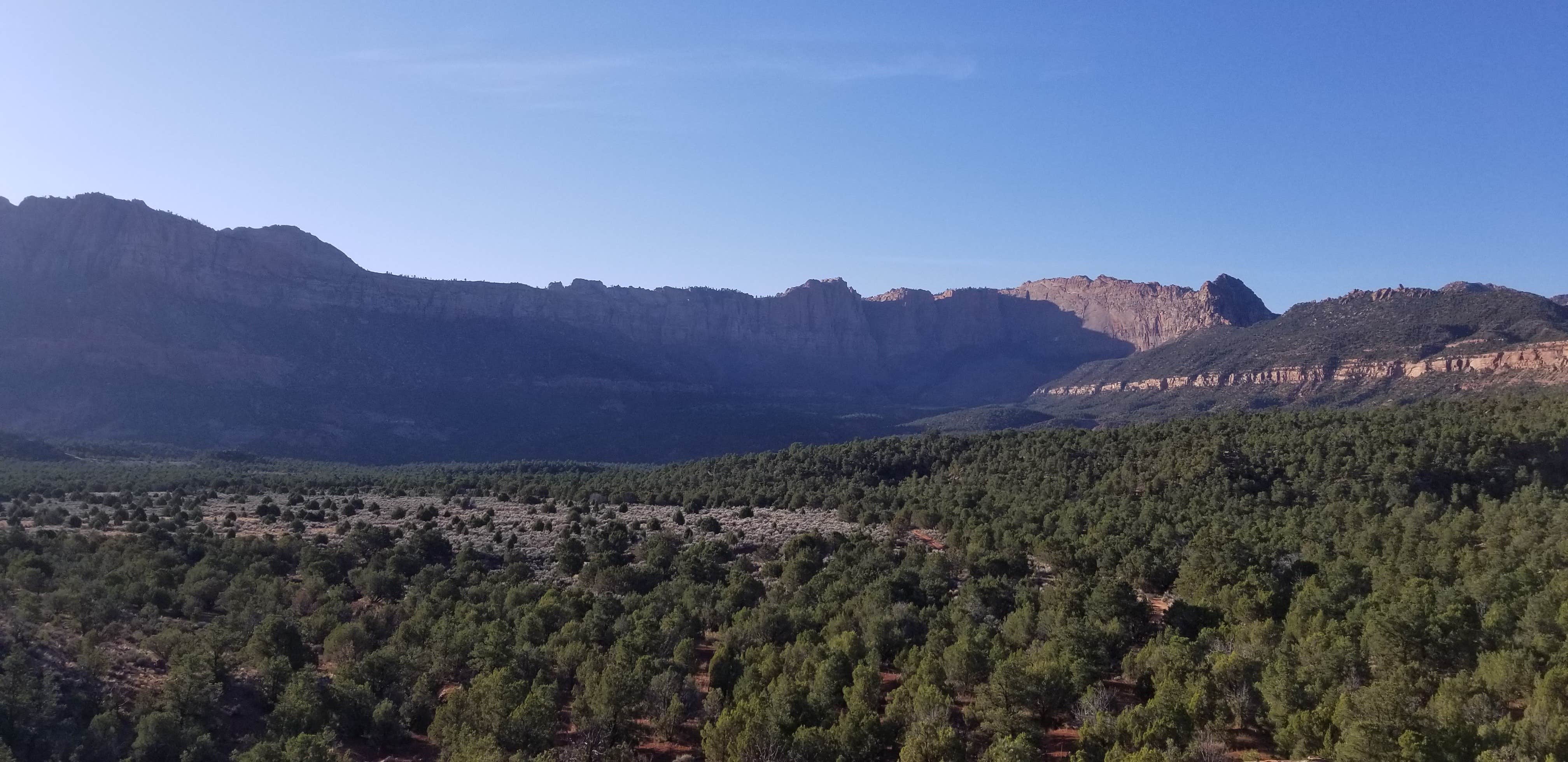 View All