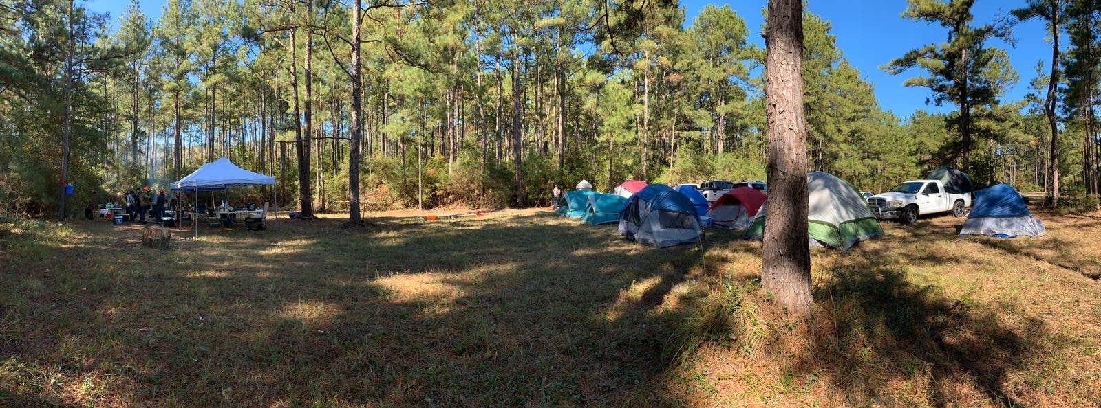 Daniel L.'s photo of tent camping at Lone Star Trail Primitive Camp Number Two near Hufsmith, TX