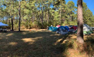 Daniel L.'s photo of tent camping at Lone Star Trail Primitive Camp Number Two near Montgomery, TX