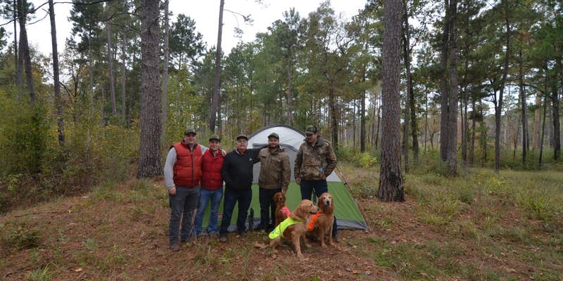 Camper submitted image from Slay Creek