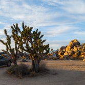 Review photo of Mojave Cross Dispersed — Mojave National Preserve by Daniel , April 14, 2021