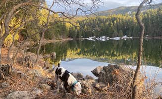 Lauren E.'s photo of camping with pets at Little Reservoir Campround — Fishlake National Forest near Beaver, UT