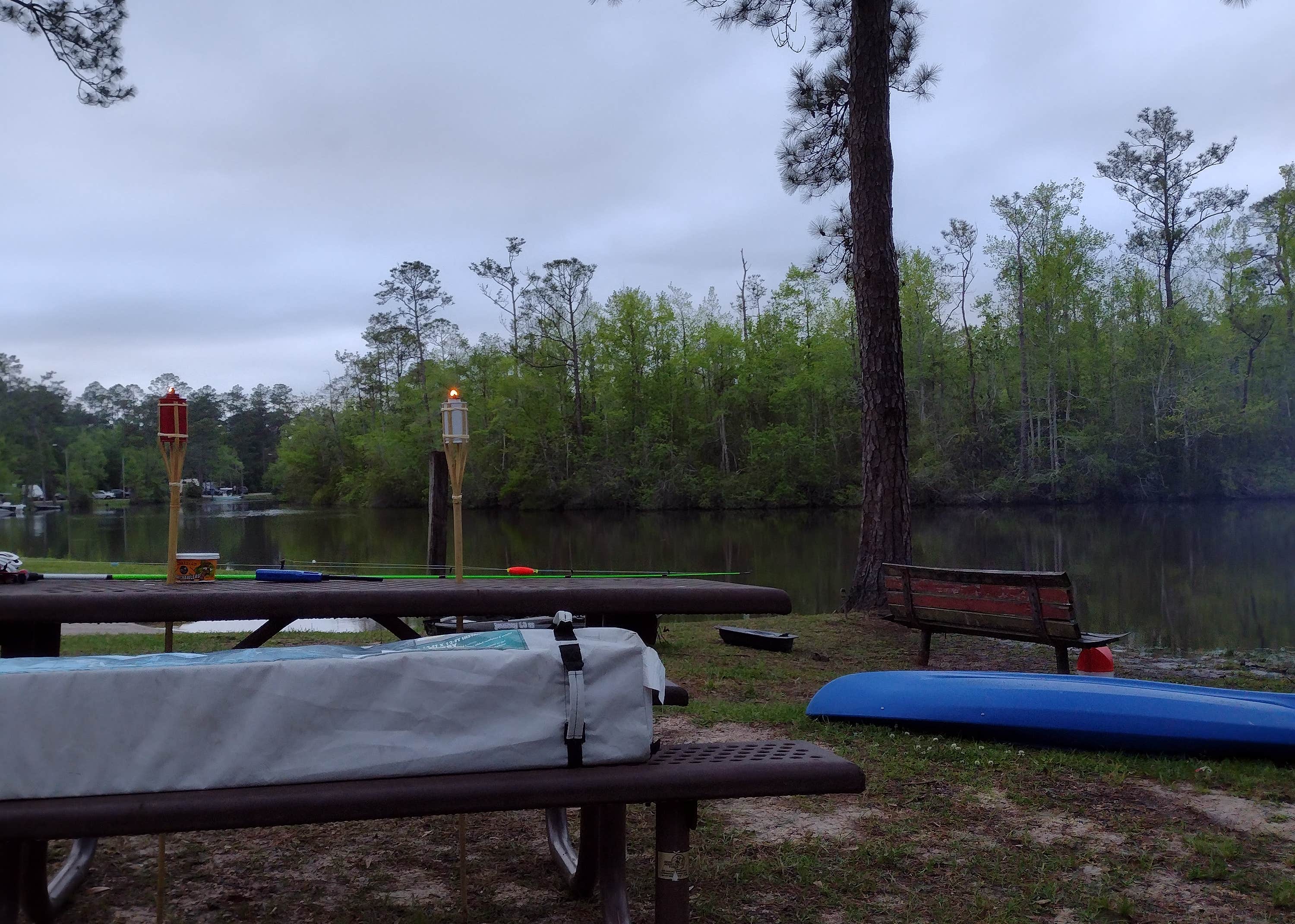 McLeod Park Campground Camping The Dyrt