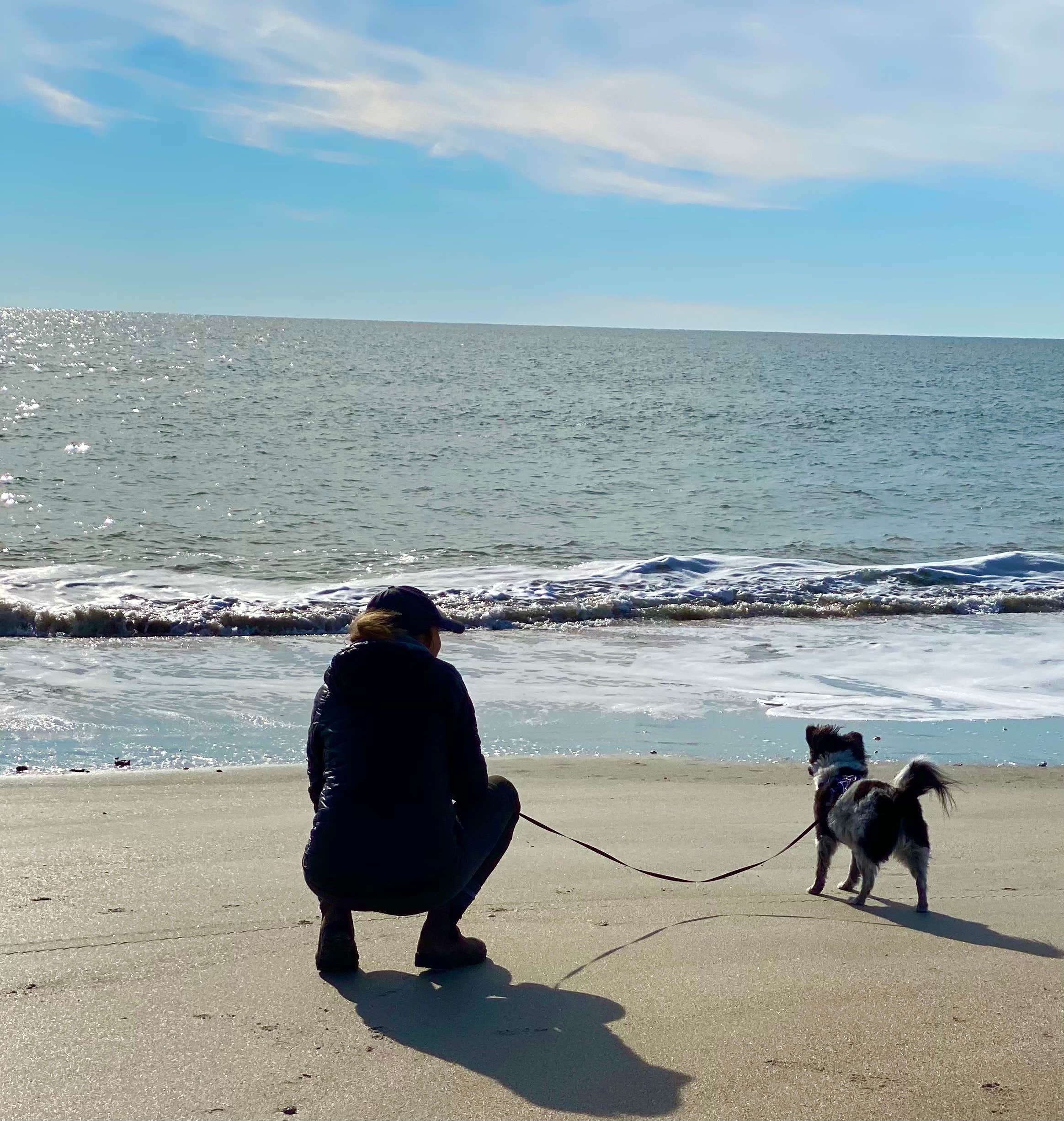 Juli F.'s photo of camping with pets at Huntington Beach State Park Campground near Murrells Inlet, SC