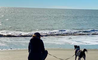 Juli F.'s photo of camping with pets at Huntington Beach State Park Campground near North Myrtle Beach, SC