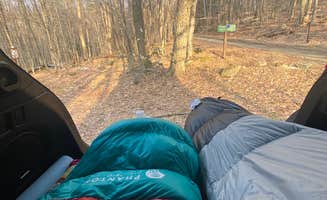 Maggie F.'s photo of tent camping at Michigan Brook near Hartford, VT