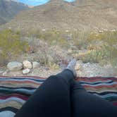 Review photo of Oliver Lee Memorial State Park — Oliver Lee State Park by Brett H., April 14, 2021