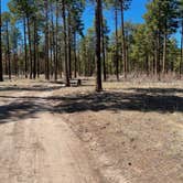 Review photo of Pajarito Springs (Dispersed) by Brett H., April 14, 2021