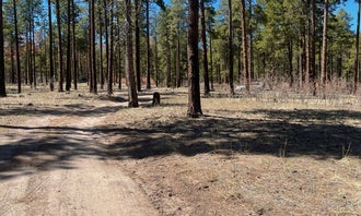 Camping near Camp May Road: Pajarito Springs (Dispersed), Los Alamos, New Mexico