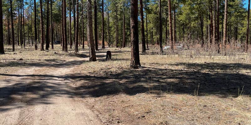 Camper submitted image from Pajarito Springs (Dispersed)