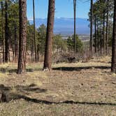 Review photo of Pajarito Springs (Dispersed) by Brett H., April 14, 2021