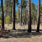 Review photo of Pajarito Springs (Dispersed) by Brett H., April 14, 2021
