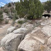 Review photo of Rabbit Valley — Mc Innis Canyons National Conservation Area by Jeff N., April 14, 2021