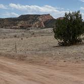 Review photo of Rabbit Valley — Mc Innis Canyons National Conservation Area by Jeff N., April 14, 2021