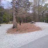 Review photo of Tallulah Gorge State Park Campground by Rachel G., April 15, 2021