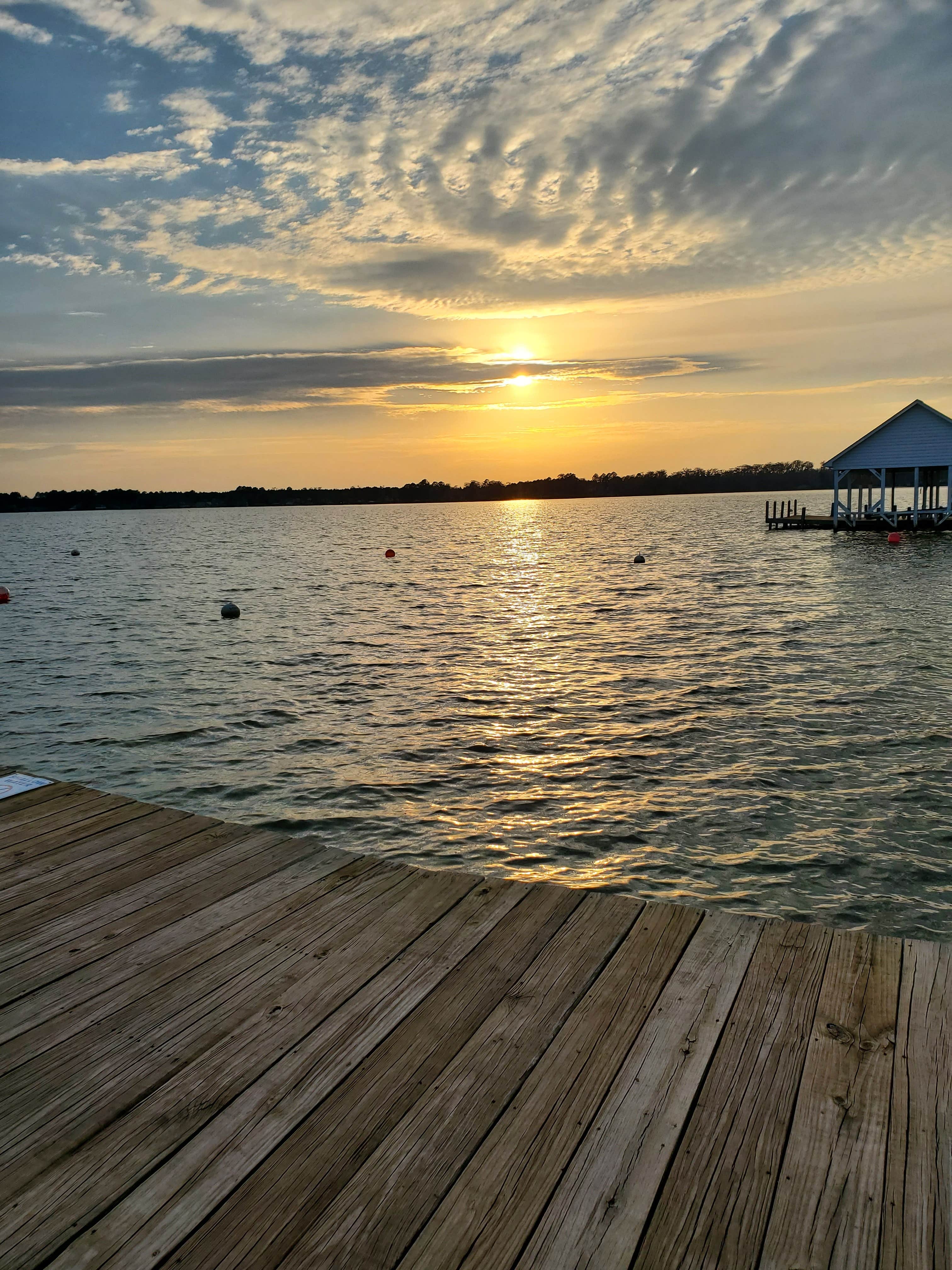 View All