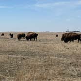 Review photo of Blue Mounds State Park Campground by Stephanie G., April 8, 2021