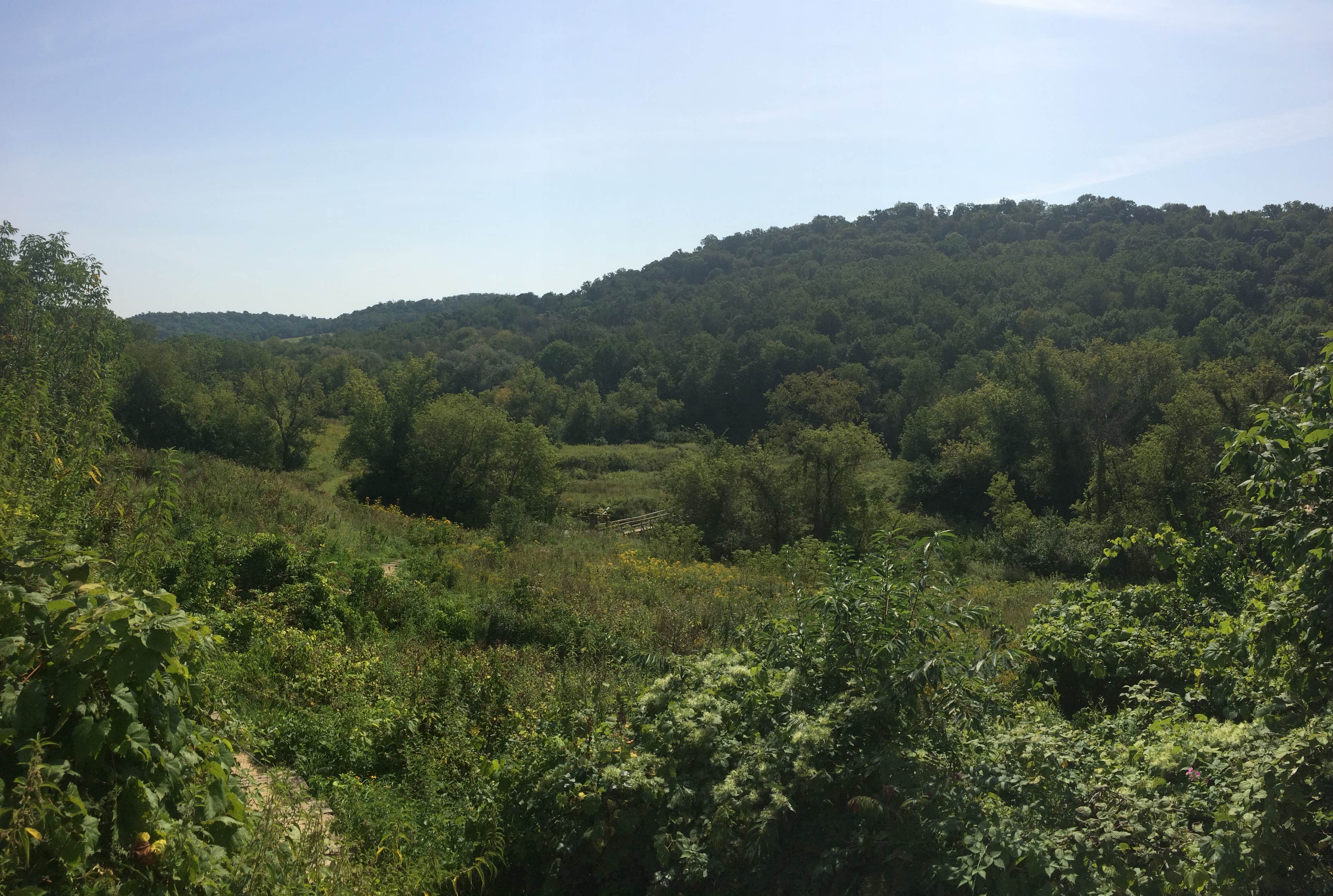 Camper-submitted photo at Swiss Valley County Park near Marquette, IA