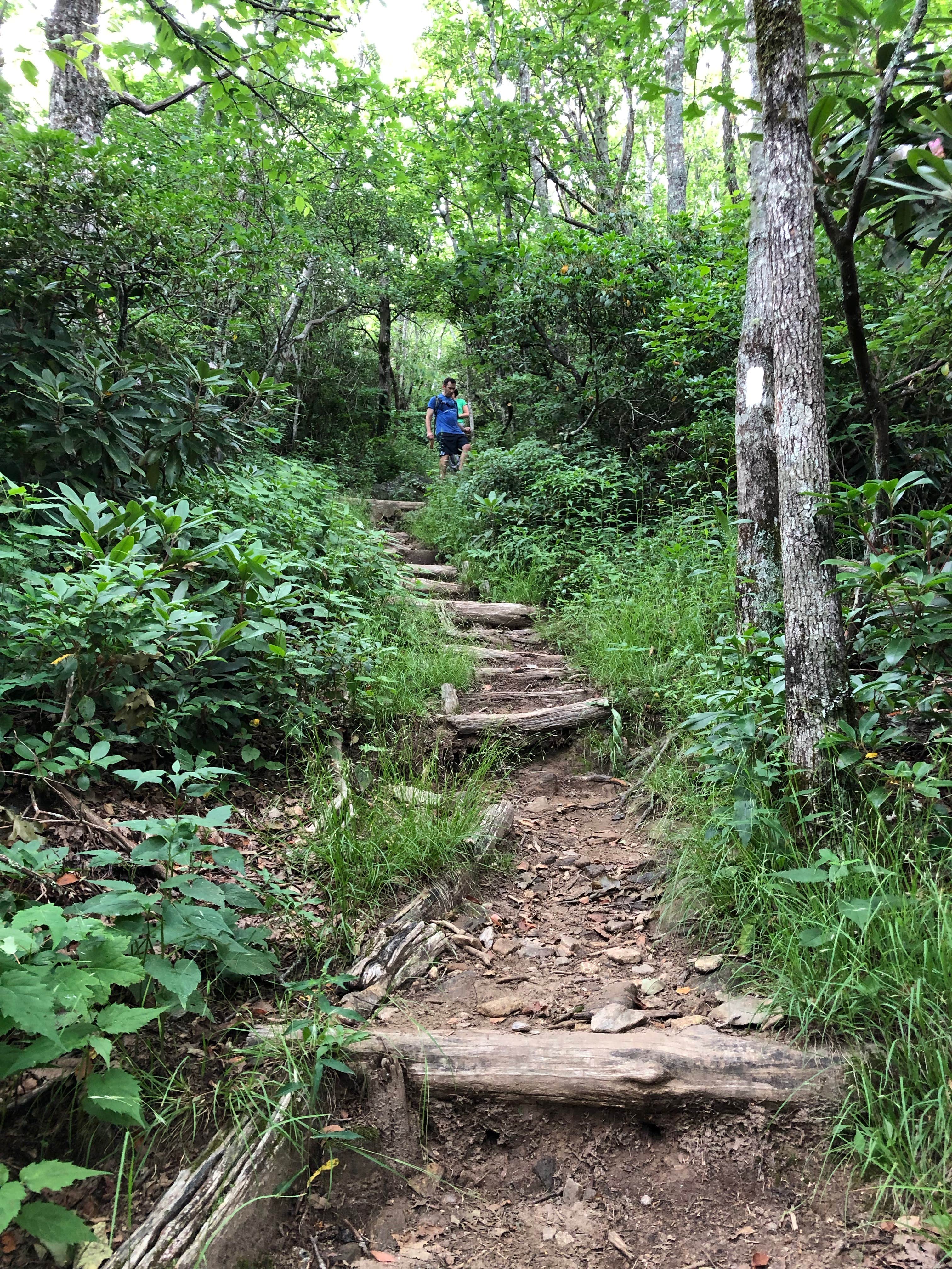 Camper submitted image from Mooney Gap Trailhead Campsite - 4