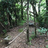 Review photo of Mooney Gap Trailhead Campsite by Asher K., April 15, 2021