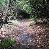 Review photo of Mooney Gap Trailhead Campsite by Asher K., April 15, 2021