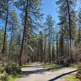 Review photo of Kettle Falls Campground — Lake Roosevelt National Recreation Area by Emily J D., April 15, 2021