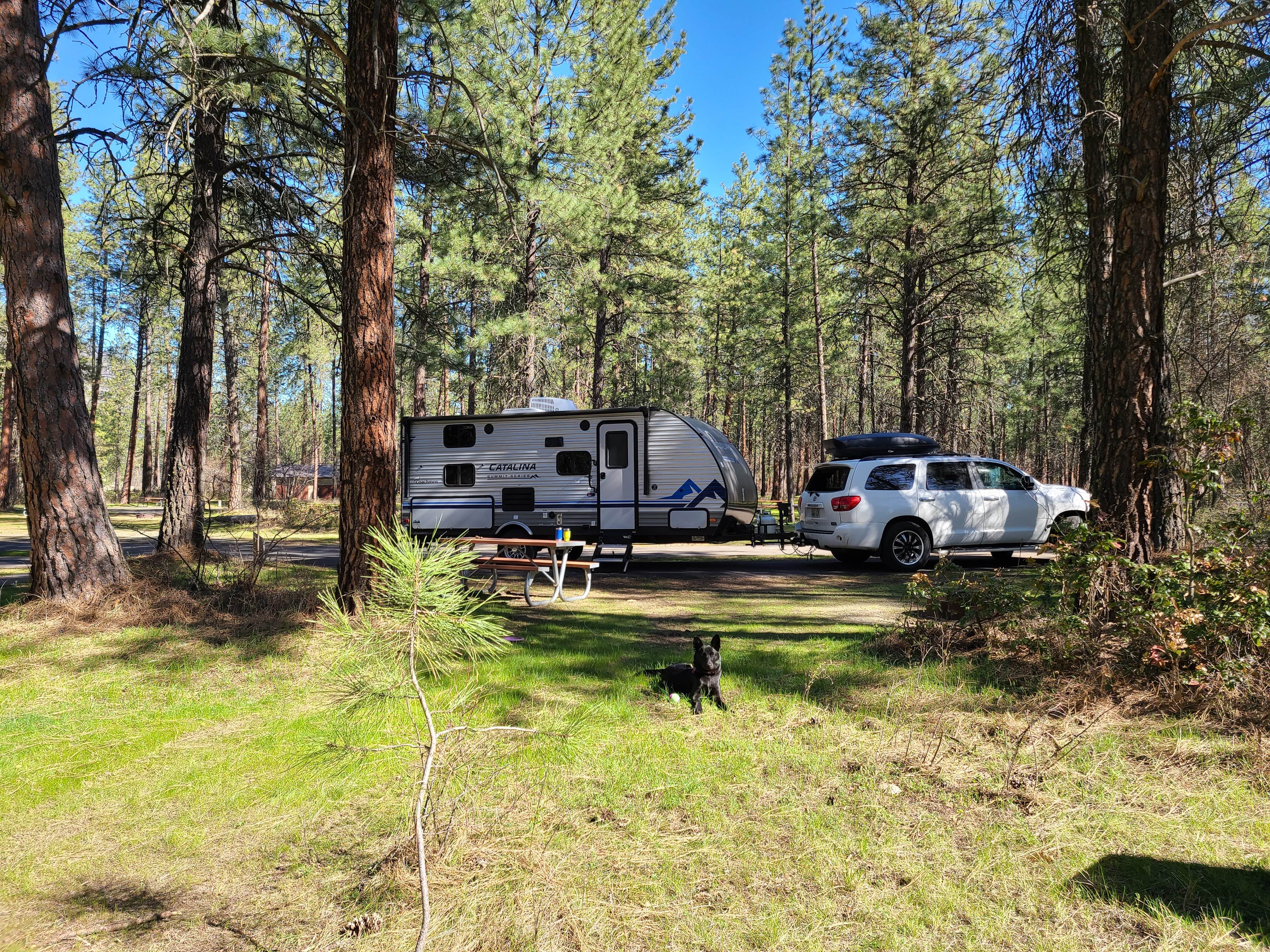 Emily J D.'s photo at Kettle Falls Campground — Lake Roosevelt National Recreation Area near Lake Roosevelt National Recreation Area