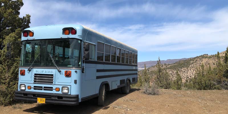 Camper submitted image from Gable Creek Road Dispersed Camping