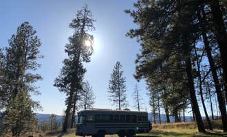 Camping near Wickiup: Fawn Spring Dispersed Camping, John Day, Oregon