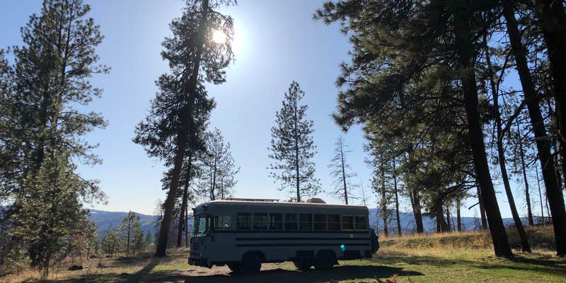 Camper submitted image from Fawn Spring Dispersed Camping