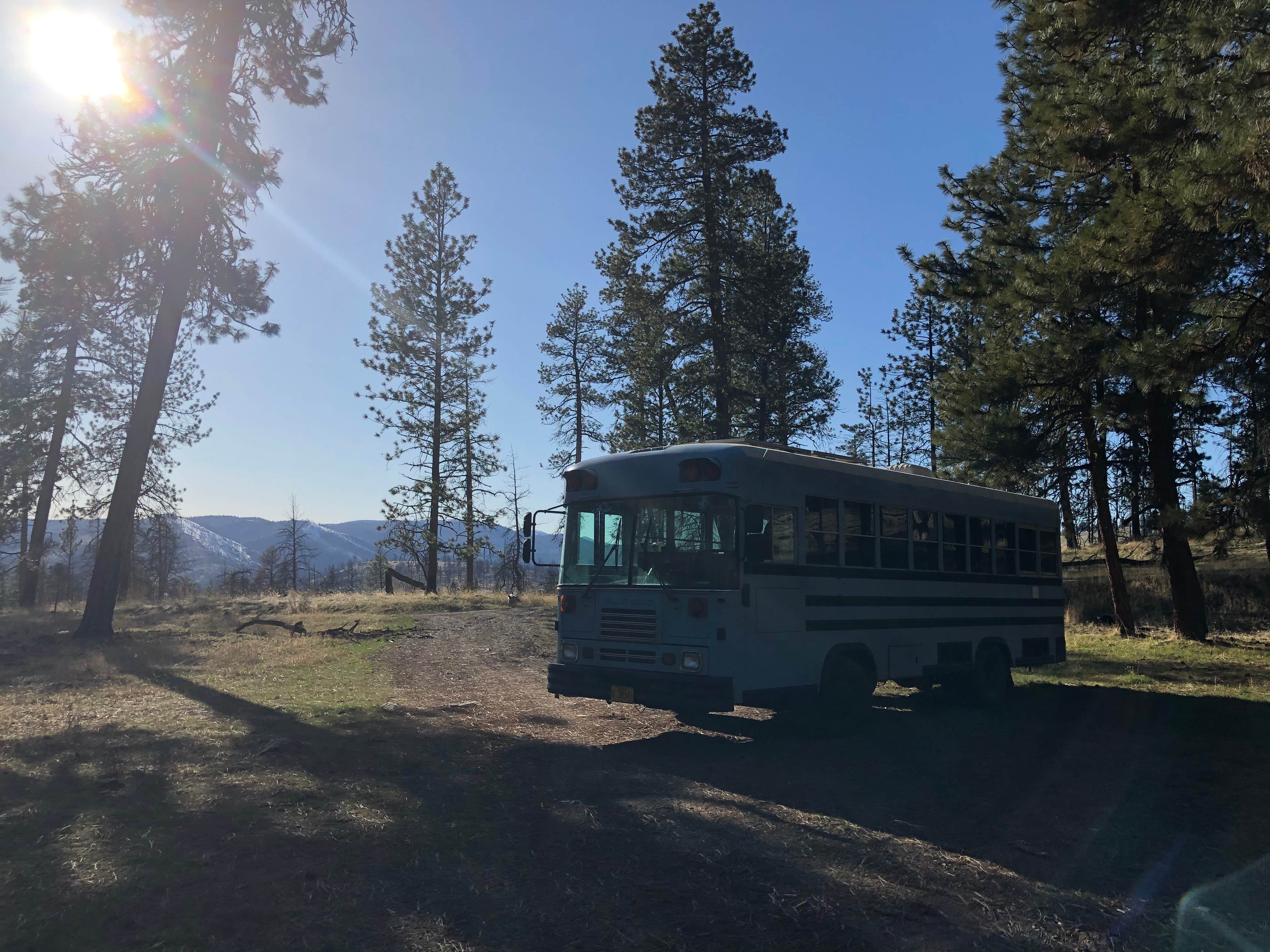 Camper-submitted photo at Fawn Spring Dispersed Camping near Seneca, OR