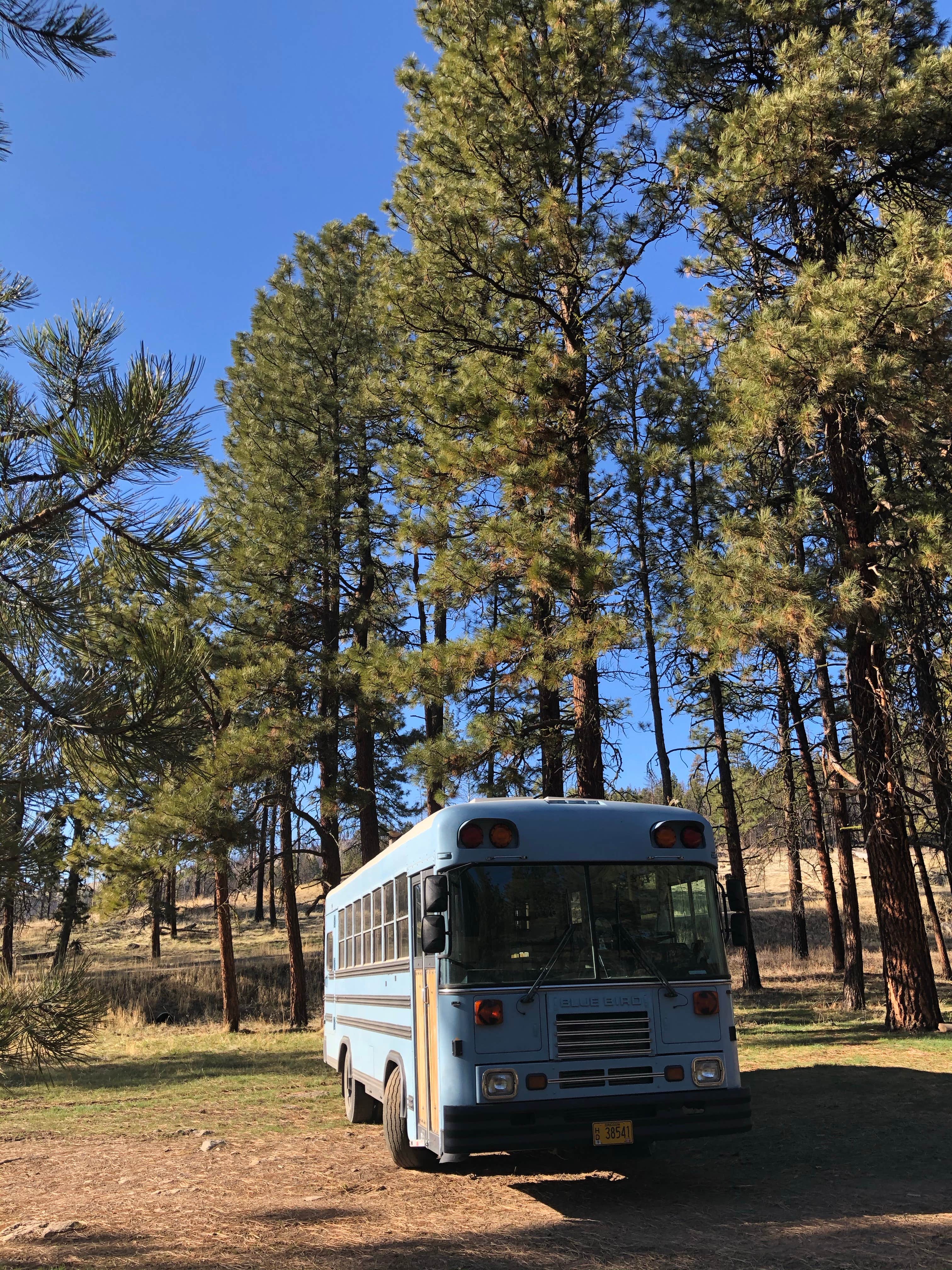 Camper-submitted photo at Fawn Spring Dispersed Camping near Seneca, OR