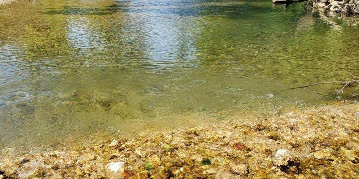 Camper submitted image from Four Creeks Ranch Campground