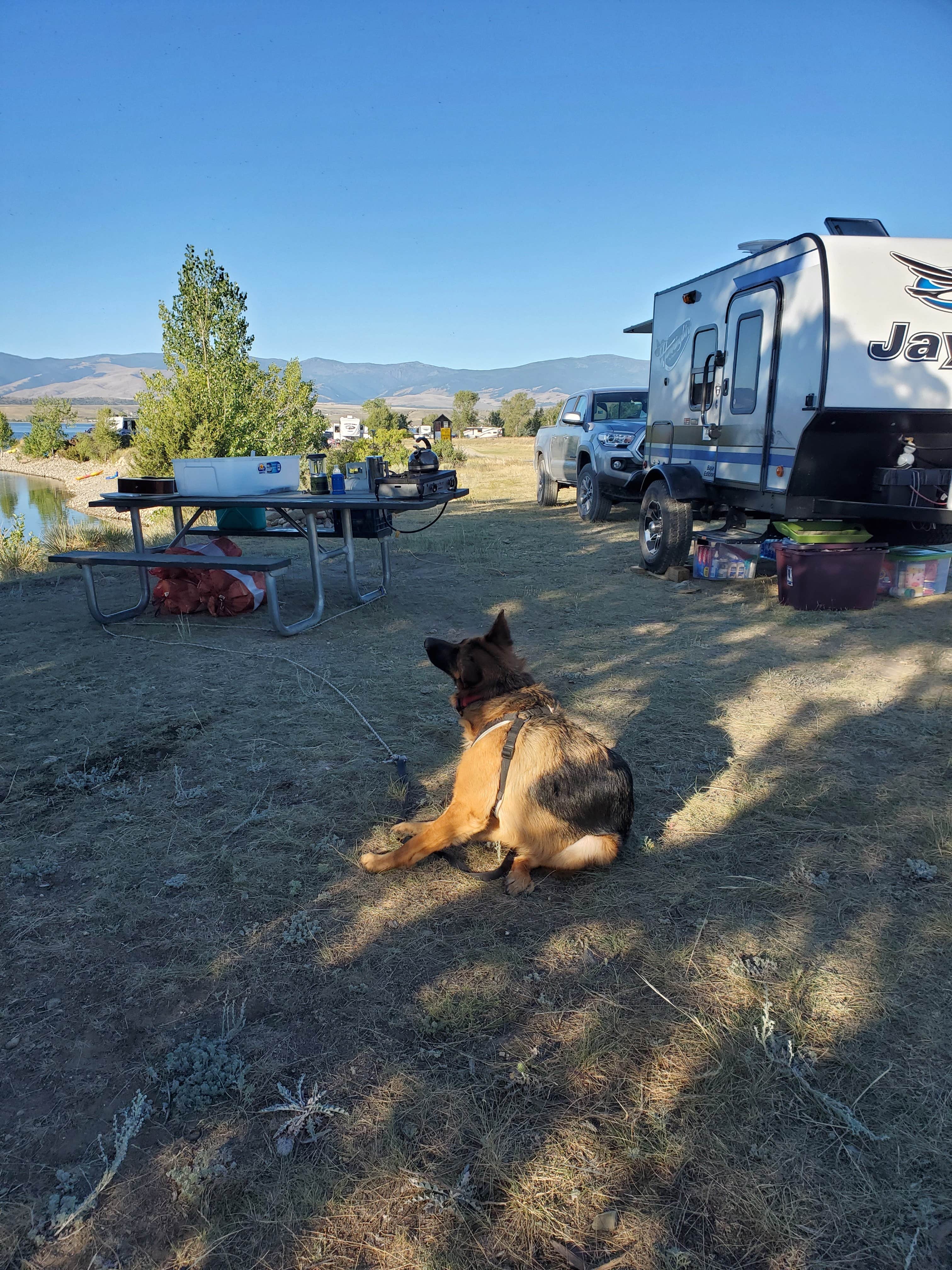 Camper submitted image from Ponderosa - Canyon Ferry Reservoir USBR - 4