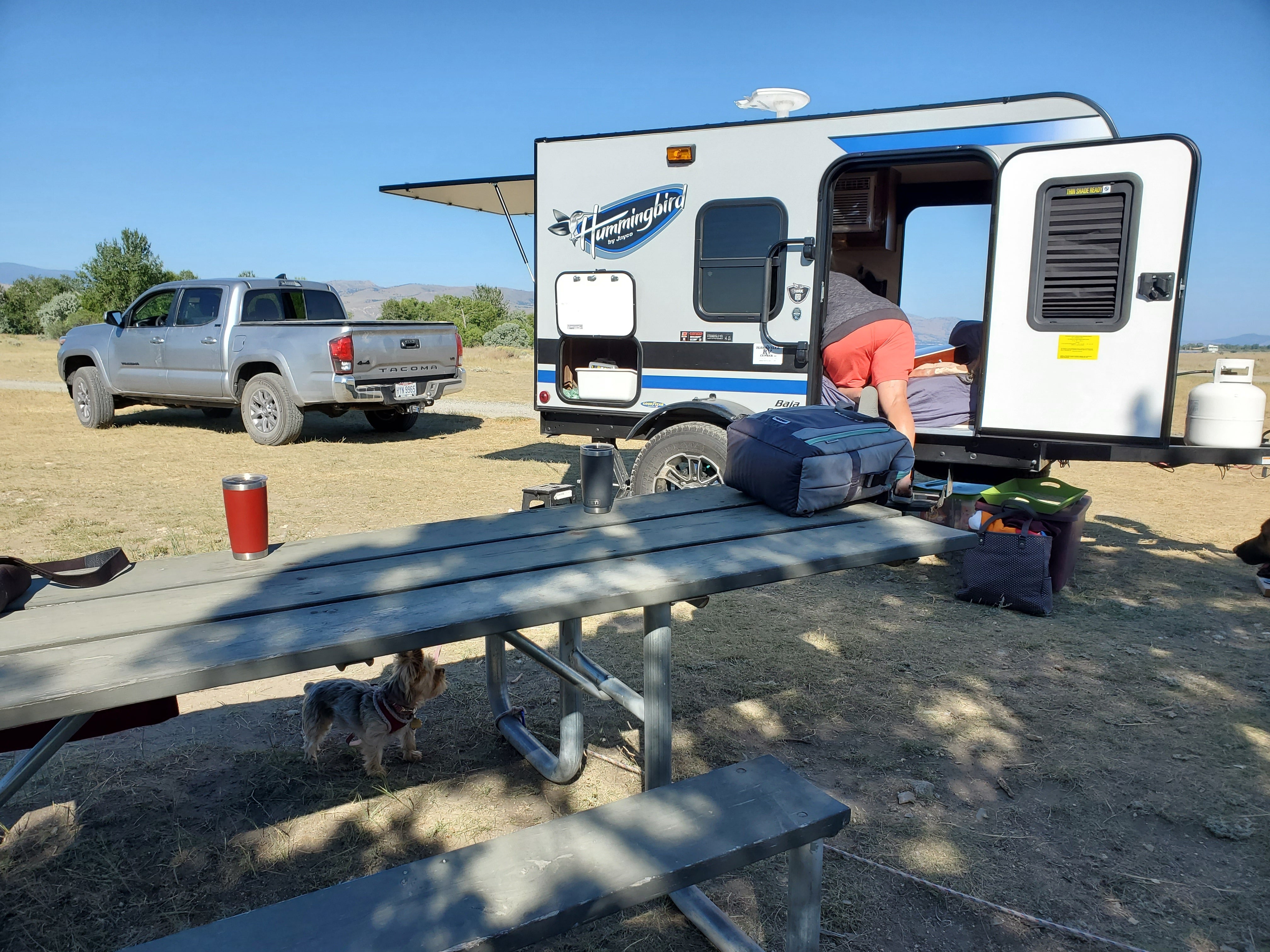 Camper submitted image from Ponderosa - Canyon Ferry Reservoir USBR - 5