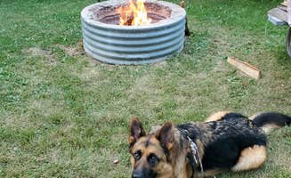 Jack T.'s photo of camping with pets at Lake Hudson Recreation Area near Litchfield, MI