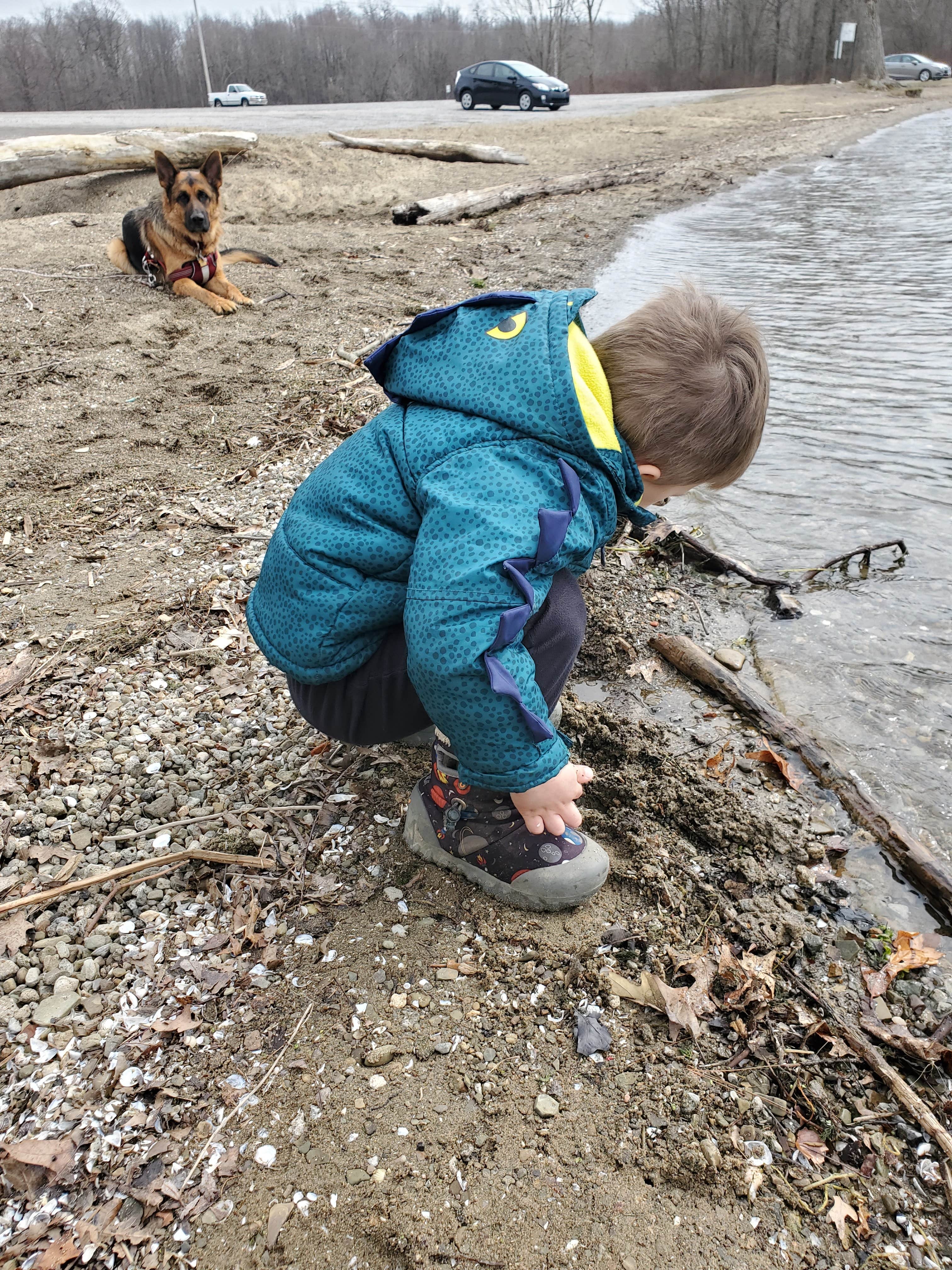 Jack T.'s photo of camping with pets at Mosquito Lake State Park Campground near North Springfield, PA