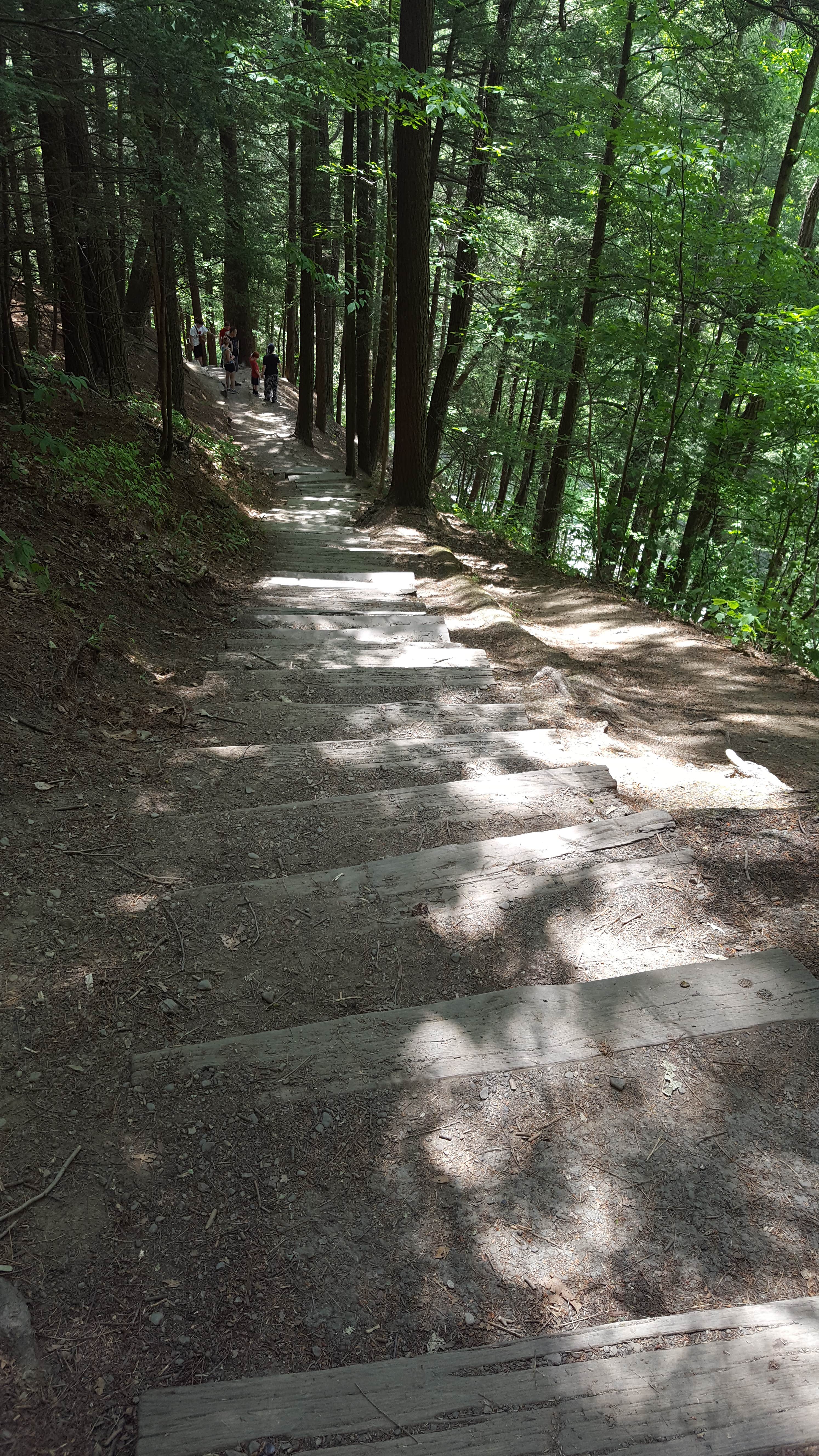 Camper submitted image from Robert H. Treman State Park Campground - 3