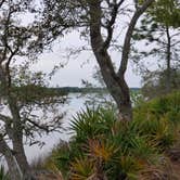 Review photo of Ochlockonee River State Park Campground by Marvin E., April 15, 2021