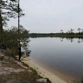 Review photo of Ochlockonee River State Park Campground by Marvin E., April 15, 2021