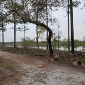 Review photo of Ochlockonee River State Park Campground by Marvin E., April 15, 2021