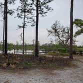 Review photo of Ochlockonee River State Park Campground by Marvin E., April 15, 2021