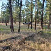 Review photo of Red Shale Campground & Geocache Site by Jack T., April 15, 2021