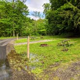 Review photo of Mohican State Park Campground by Shari G., May 31, 2018