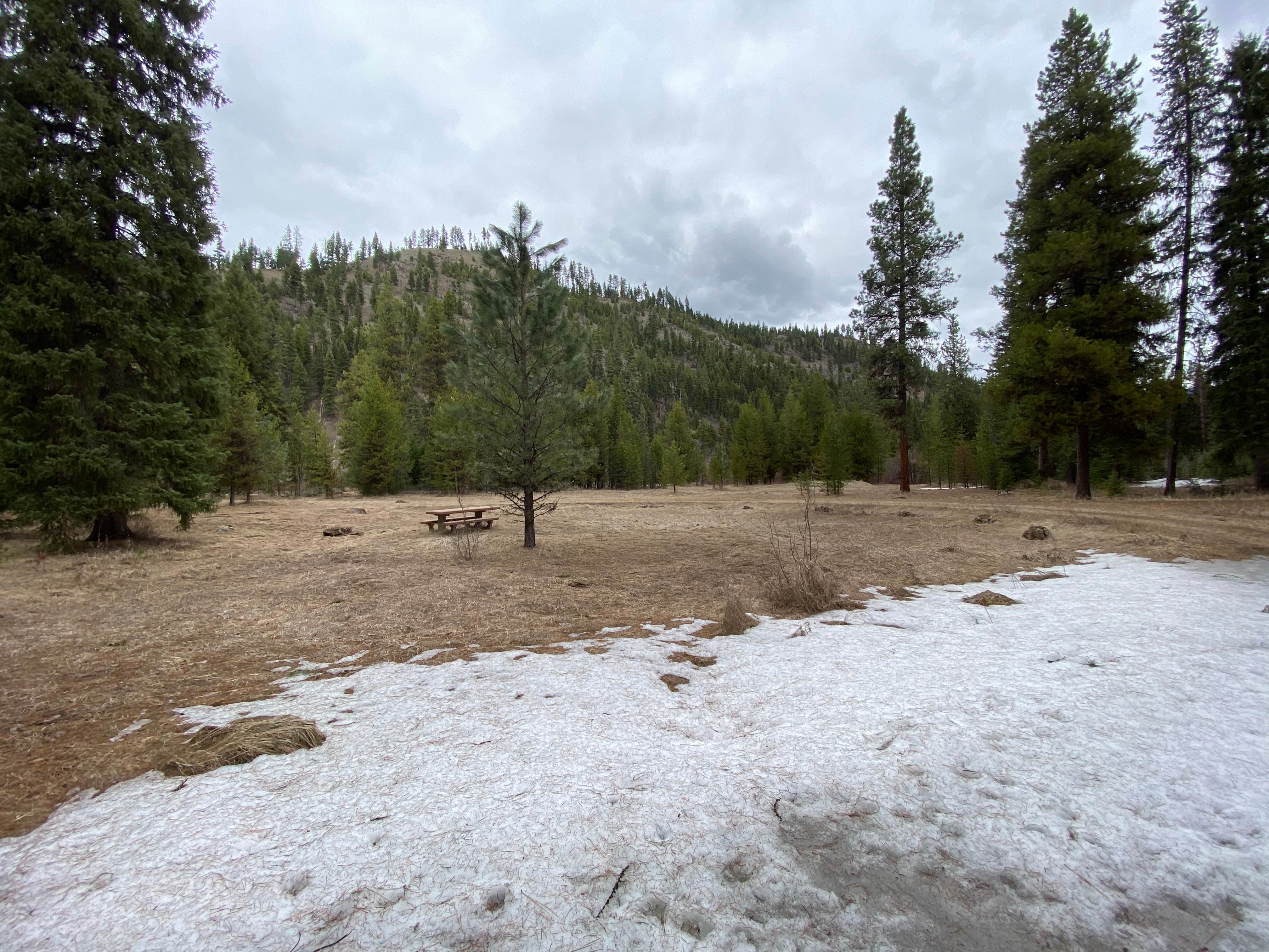 Camper submitted image from Lolo National Forest Earl Tennant Campground - 1