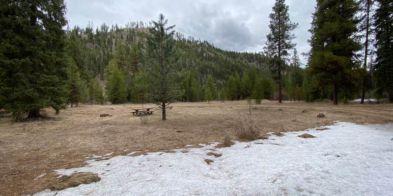 Camper submitted image from Lolo National Forest Earl Tennant Campground