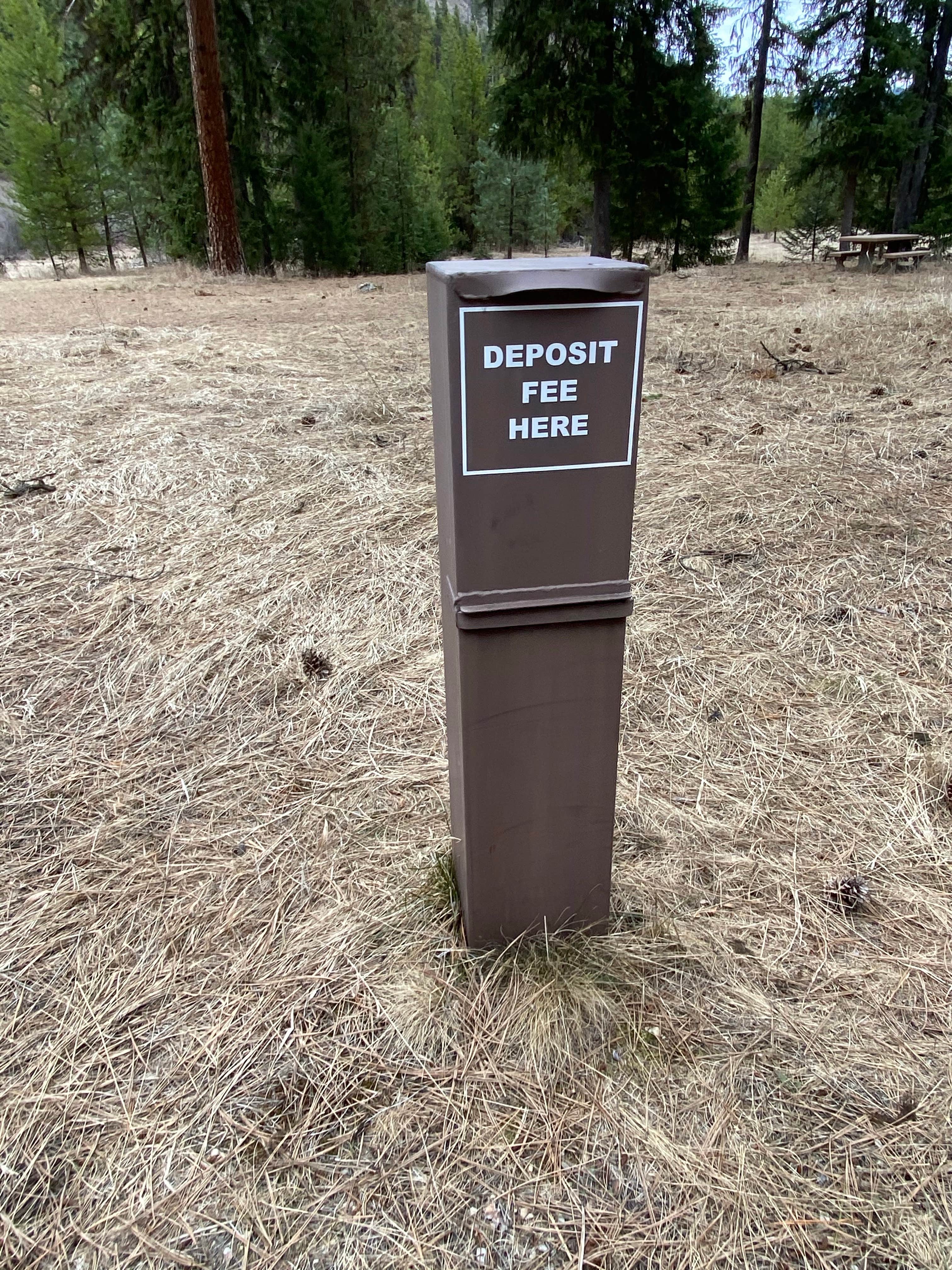 Camper submitted image from Lolo National Forest Earl Tennant Campground - 3