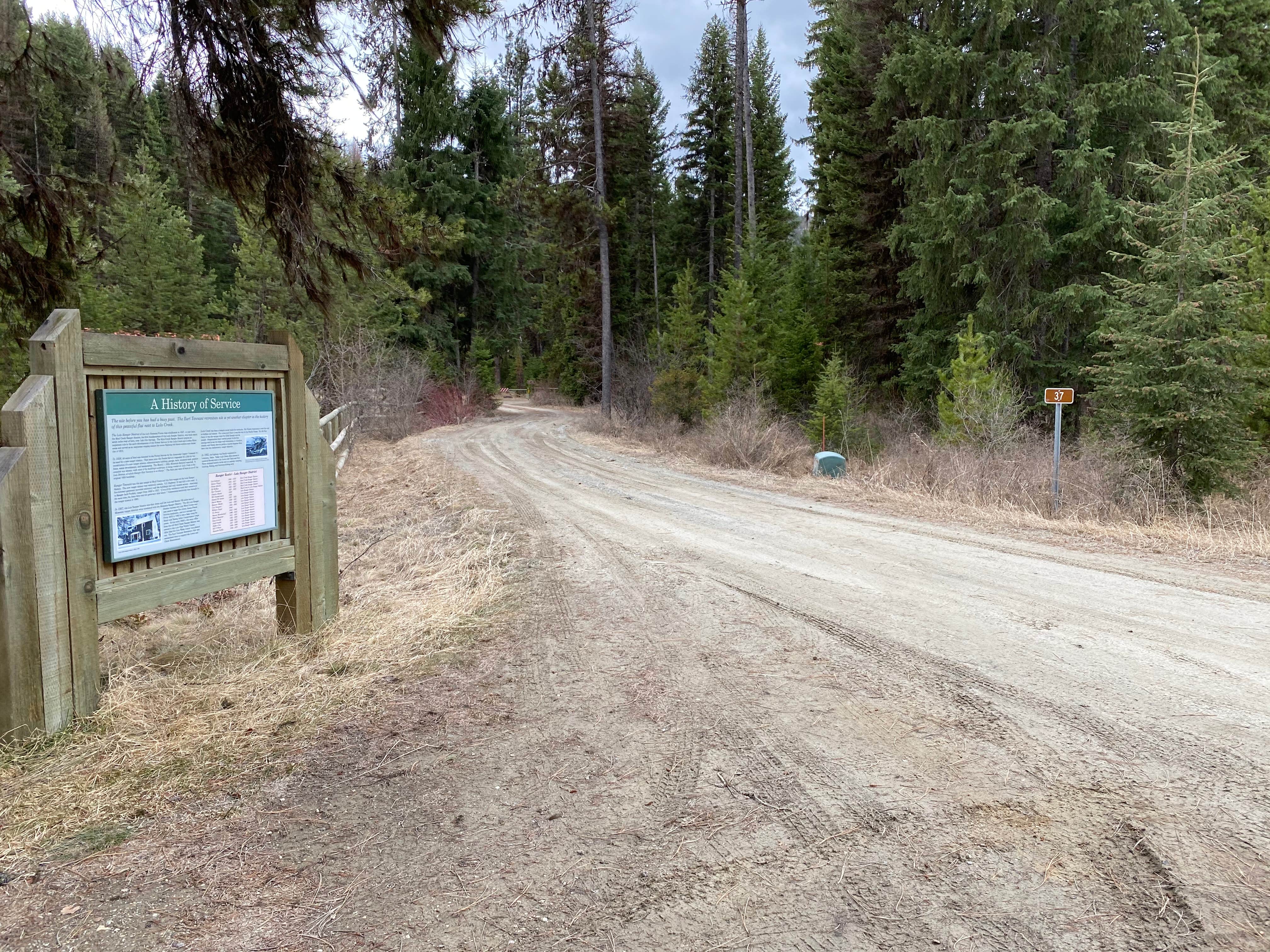 Camper submitted image from Lolo National Forest Earl Tennant Campground - 2