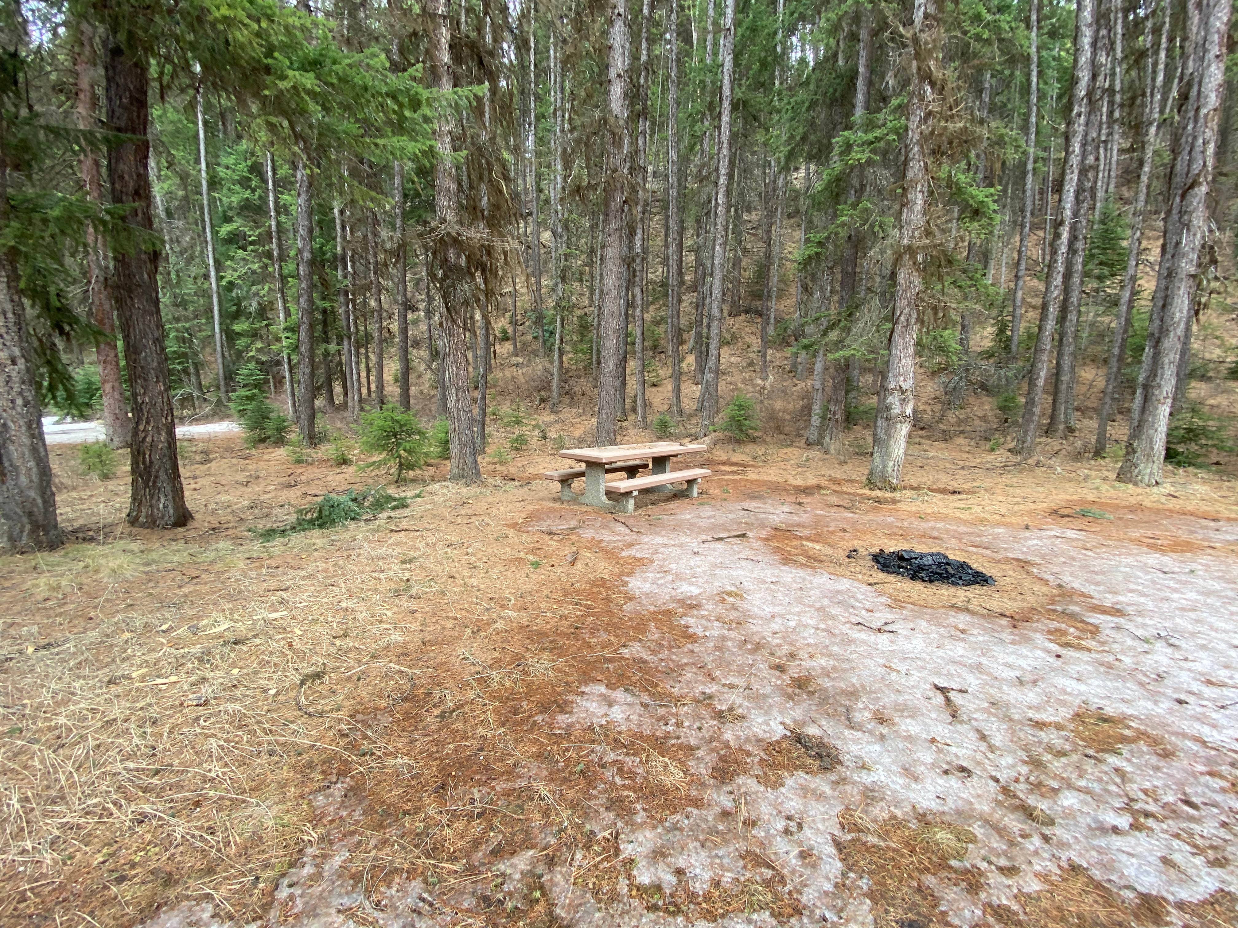 Camper-submitted photo at Lolo National Forest Earl Tennant Campground near Florence, MT