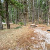 Review photo of Lolo National Forest Earl Tennant Campground by Juliana H., April 15, 2021